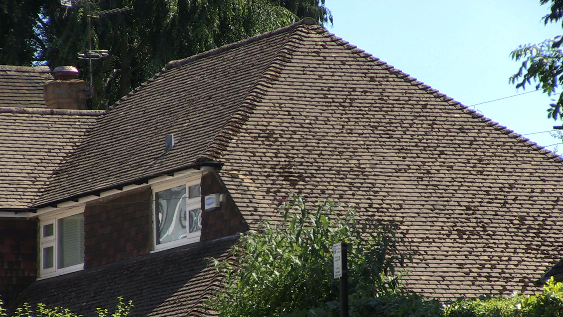 property viewing roof