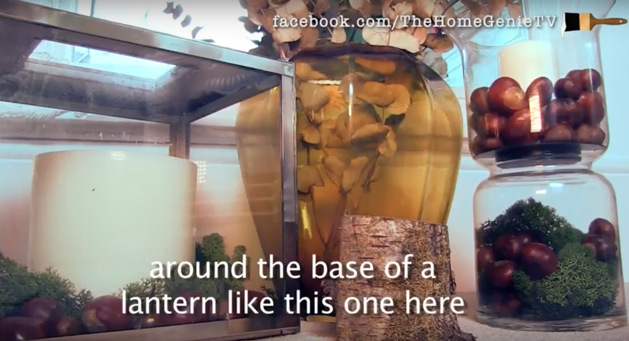 autumn decorations conkers