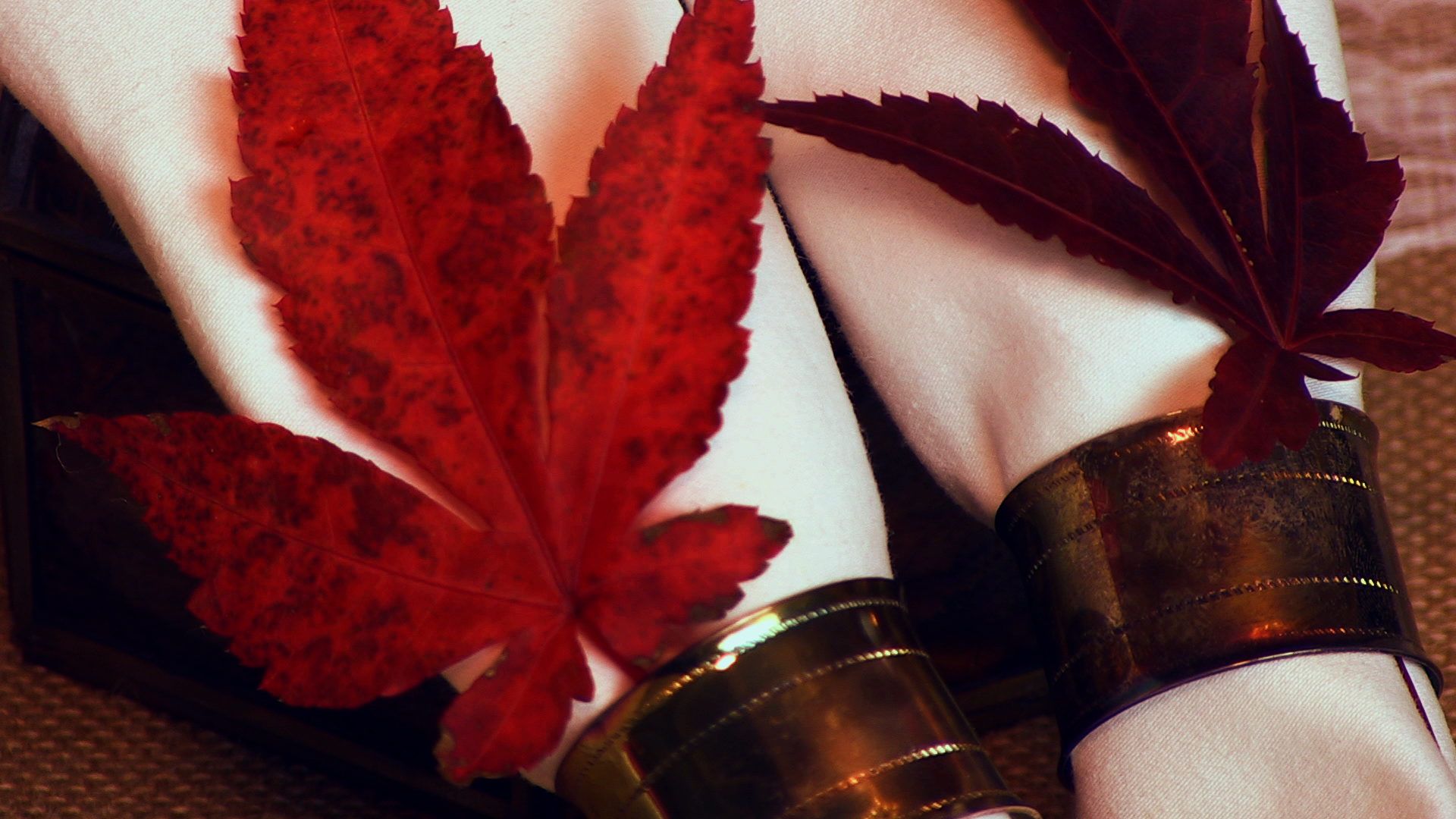 autumn decorations napkins