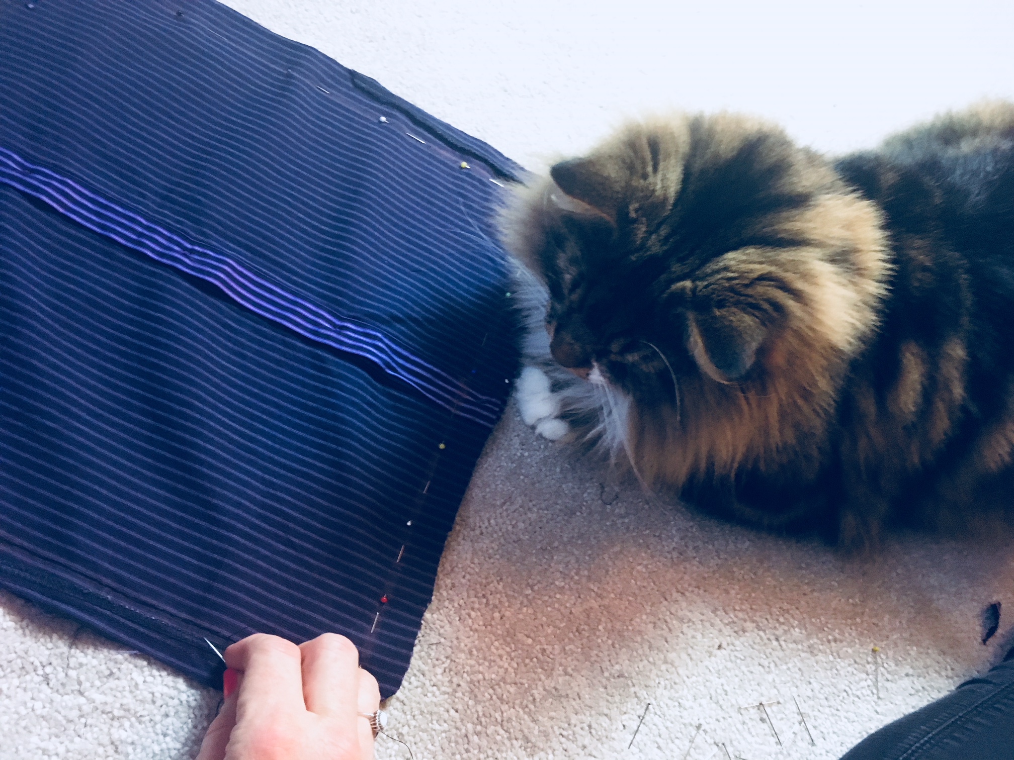 how to make a cushion sew